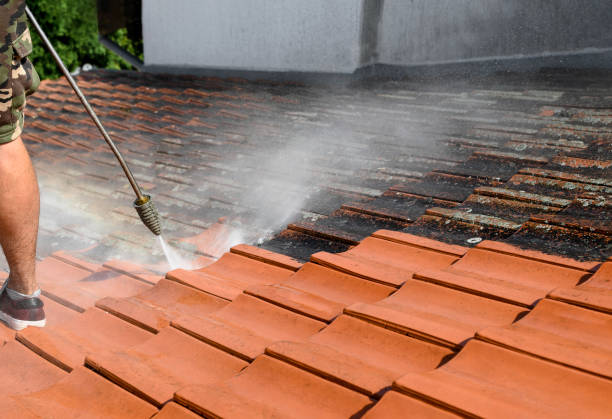  Blooming Prairie, MN Pressure Washing Pros