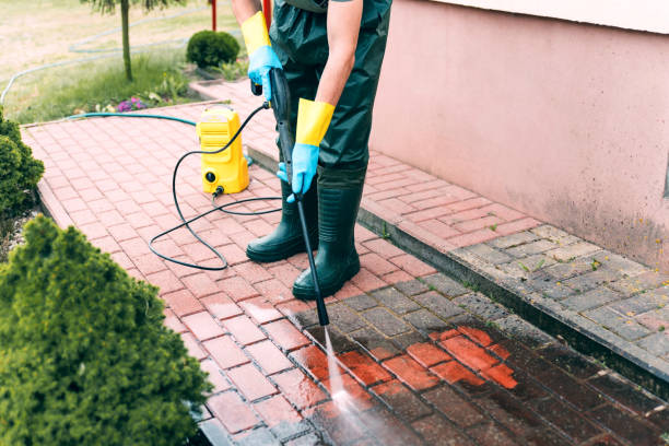 Best Roof Pressure Washing  in Blooming Prairie, MN