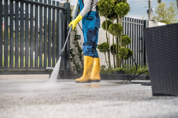 Best Concrete Pressure Washing  in Blooming Prairie, MN