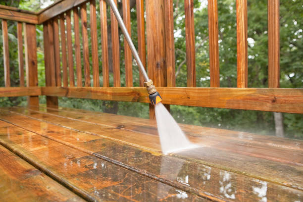 Best Exterior Home Cleaning  in Blooming Prairie, MN