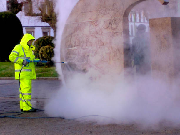 Best Residential Pressure Washing Services  in Blooming Prairie, MN