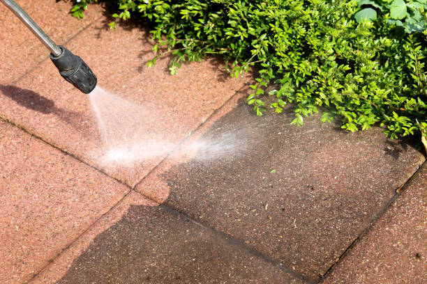 Best Best Pressure Washing Companies  in Blooming Prairie, MN